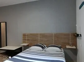 Studio 1 Classe 2, Fibre, Netflix