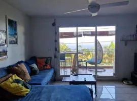 Petit jardin suspendu