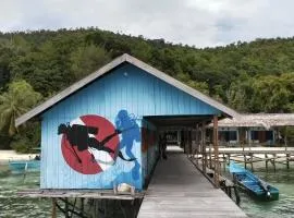 Diving Mansuar and home