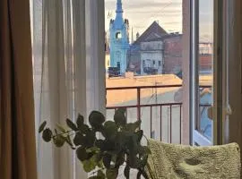 Beautiful Mountain View Apartment