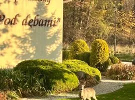 ApartamentyKudowa - Willa Pod Dębami z ogrodem i parkingiem,