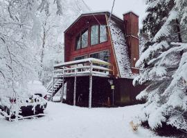 Designer Poconos Chalet I Ski, Skate, Lakes, Family-Friendly, hotel a Lake Ariel