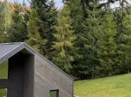 Cottages Shepit Lisu New