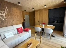 Apartmán Forest, Tatranská Štrba