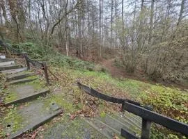 La Mésange Apprivoisée