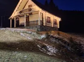 Лісовий котедж