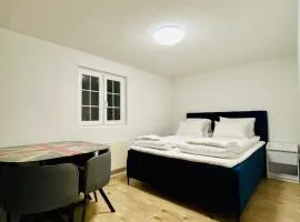 WEF and Ski Luxury Apartment AK