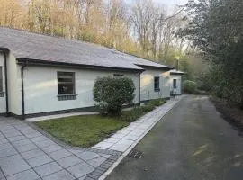 The Mews near Betws y Coed