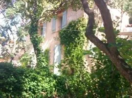 Charmant bastidon Provençal