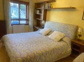 Apartamento céntrico, destino Sallent de Gallego