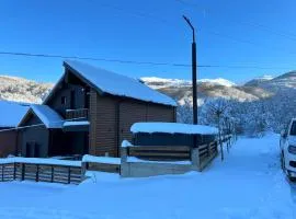 Villa Sunshine Brezovicë