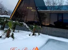 SS Mountain A-Frame Villa