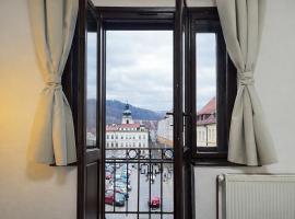 Symbiola Automat Apartments，德辛的飯店