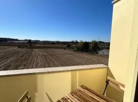 Alojamento Local Pando