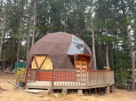 Domo Algarrobo Bosque y Mar