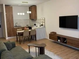 Forestline Apartment Sinaia