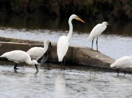 Yilan B&B - Happy Snail, hotel v destinaci Wujie