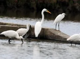 Yilan B&B - Happy Snail