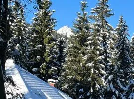 Triglav NP Apartment - above Bled