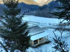 Будинок в Карпатах