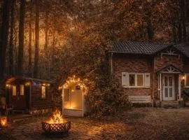 SMART Home mitten im Wald