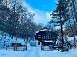 Hotel Opera, hotel in Sopot