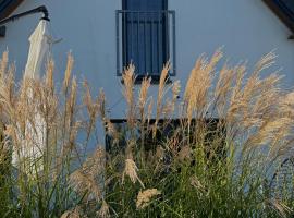 Dobre Kąty całoroczne domki, struttura con onsen a Kąty Rybackie