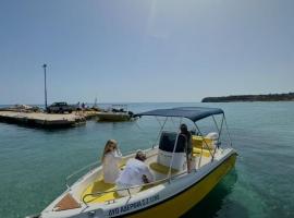 Tsilivi Yellow Boats, Boot in Zakynthos