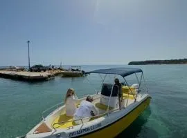 Tsilivi Yellow Boats