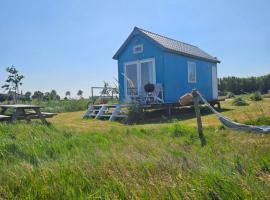 Surf Shack, hotel i Scharendijke