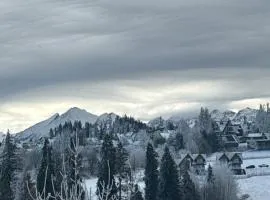 Apartament Chowańcówka z widokiem na góry typu studio obok stoków narciarskich i blisko basenów termalnych