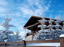 Artem Chalet, hotel din Ciocanu