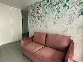 Pépite Suites - LE BOUDOIR DU LAC - Proche du lac et de la vielle ville avec garage privée