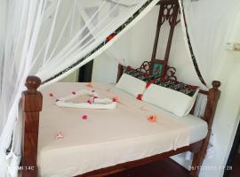 The Dream Garden Bungalow, hotel v destinaci Kizimkazi