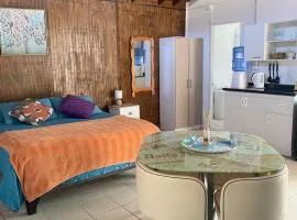 Loft Tongoy 2 Interior sin vista al mar