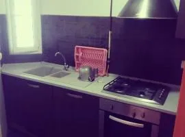 حي النصر أريانة