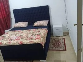 حي النصر أريانة