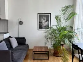 Luxury Apartment in Central Geneva