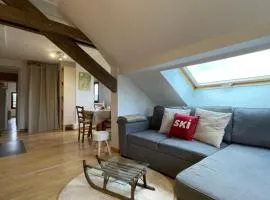 Appartement de montagne - Station du Schnepfenried