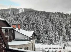 Pine forest apartments