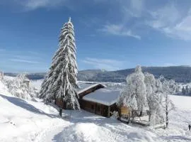 Studio reposant à la montagne