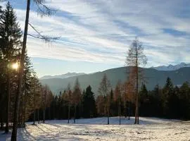 Apartment Panorama Val di Non