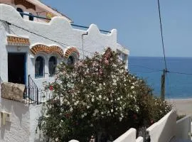 Paradise Of Aouchtame