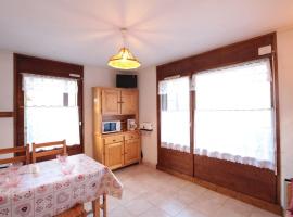 Studio central village aux Carroz, animaux admis, 5 pers - FR-1-572-202, hotel ad Arâches