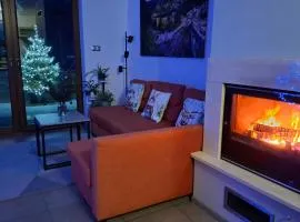 Dom uKromki z kominkiem i widokiem na Śnieżkę