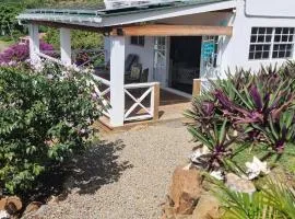 Dream View Apartment