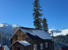 Hut in bakhmaro, Hotel in Bakhmaro