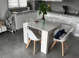 Appartement le MIMOSA