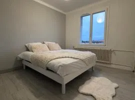 Appartement F4 meublé 75m2 trois chambres avec balcon