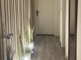 Chambre rénovée dans appartement de 70m2